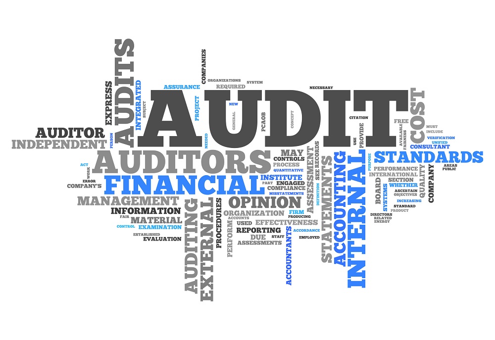 24646750 - word cloud audit